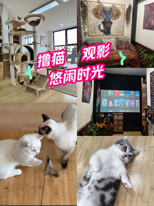 尿道有黄色分泌物女性的相关介绍