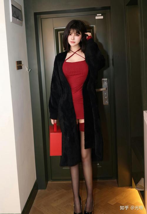 免费看视频app下载的相关介绍