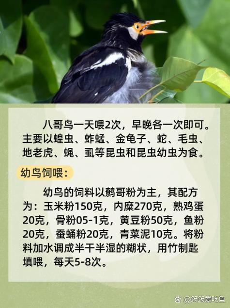 恋夜影院最新视频列表的相关介绍
