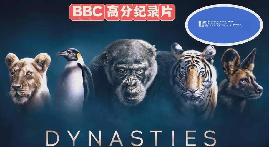 操出来的白浆是什么的相关介绍