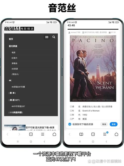 右手影院的相关介绍