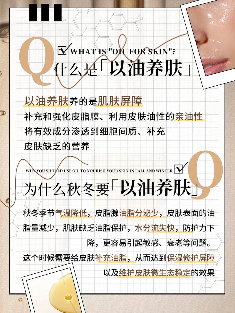 天狼影院2019最新电视剧在线观看的相关介绍