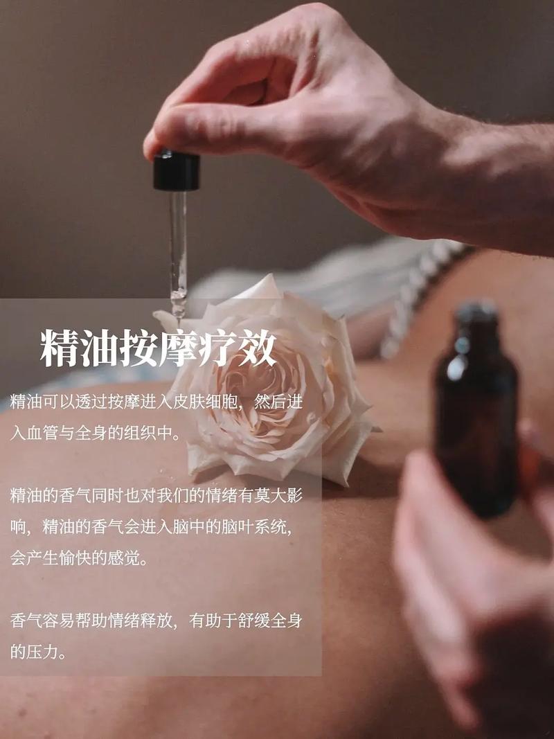 欧美成人影院大黑b的相关介绍