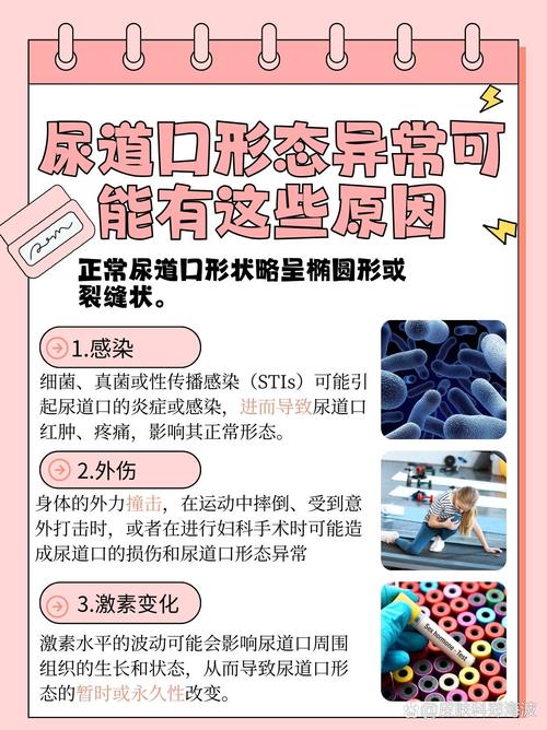 久久久小黄片的相关介绍