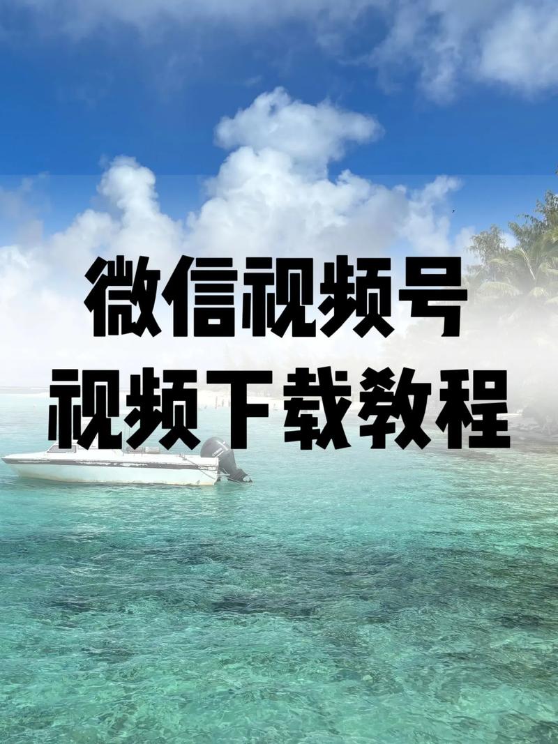 神马影院最新在线电影的相关介绍