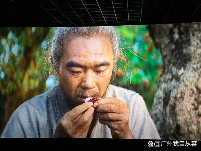 青草影院的相关介绍