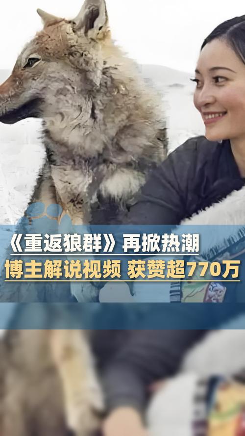 美女18好多水的相关介绍