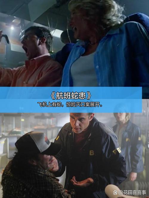 风骚人妻献身官场的相关介绍