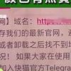 双性高h宫交的相关介绍