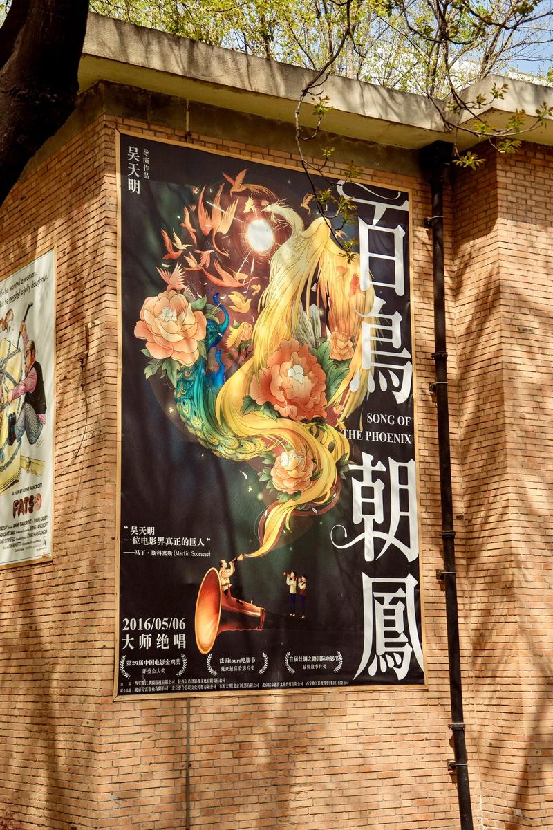欧美一区二区三区久久久人妖的相关介绍