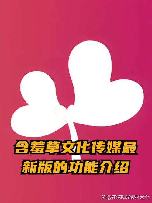 18岁禁看在线观看的相关介绍