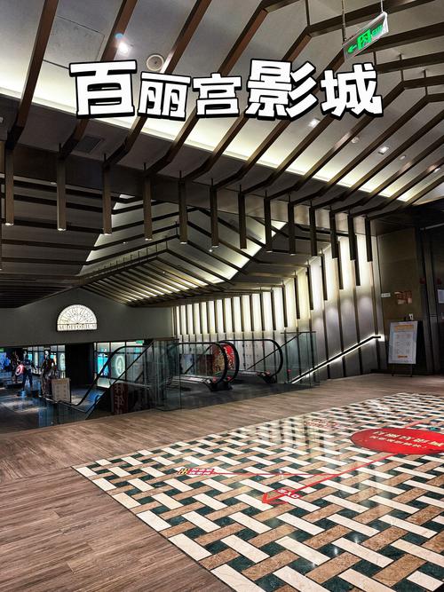 一b道影院在线播放的相关介绍