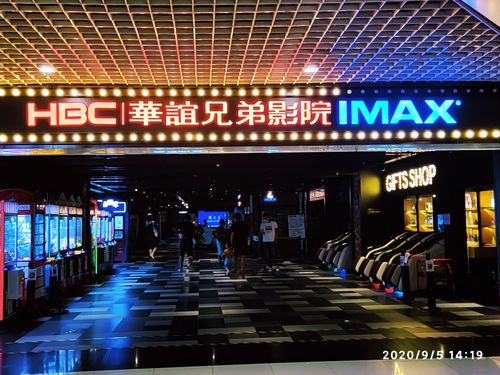 双性高h宫交的相关介绍