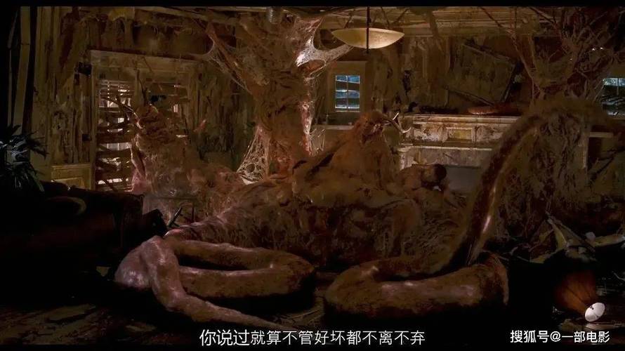 熟妇av熟妇av的相关介绍