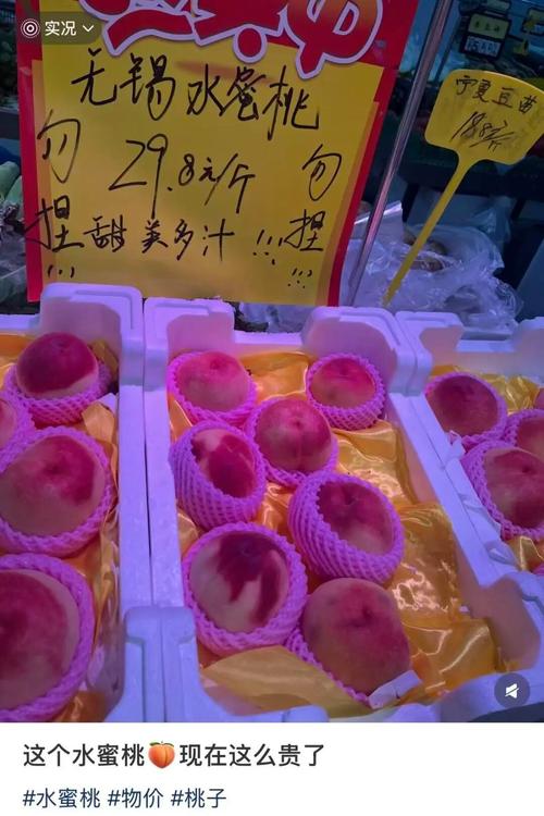 射入少妇亚洲区的相关介绍
