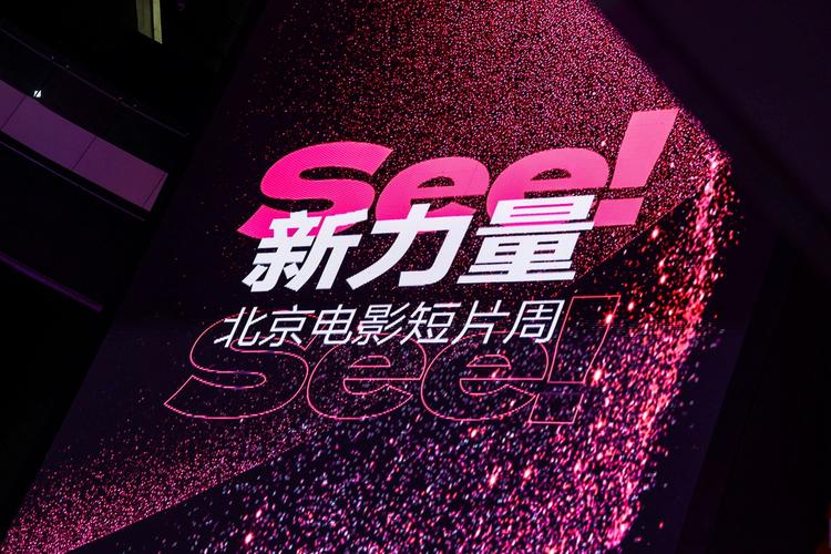 三级片电影院的相关介绍