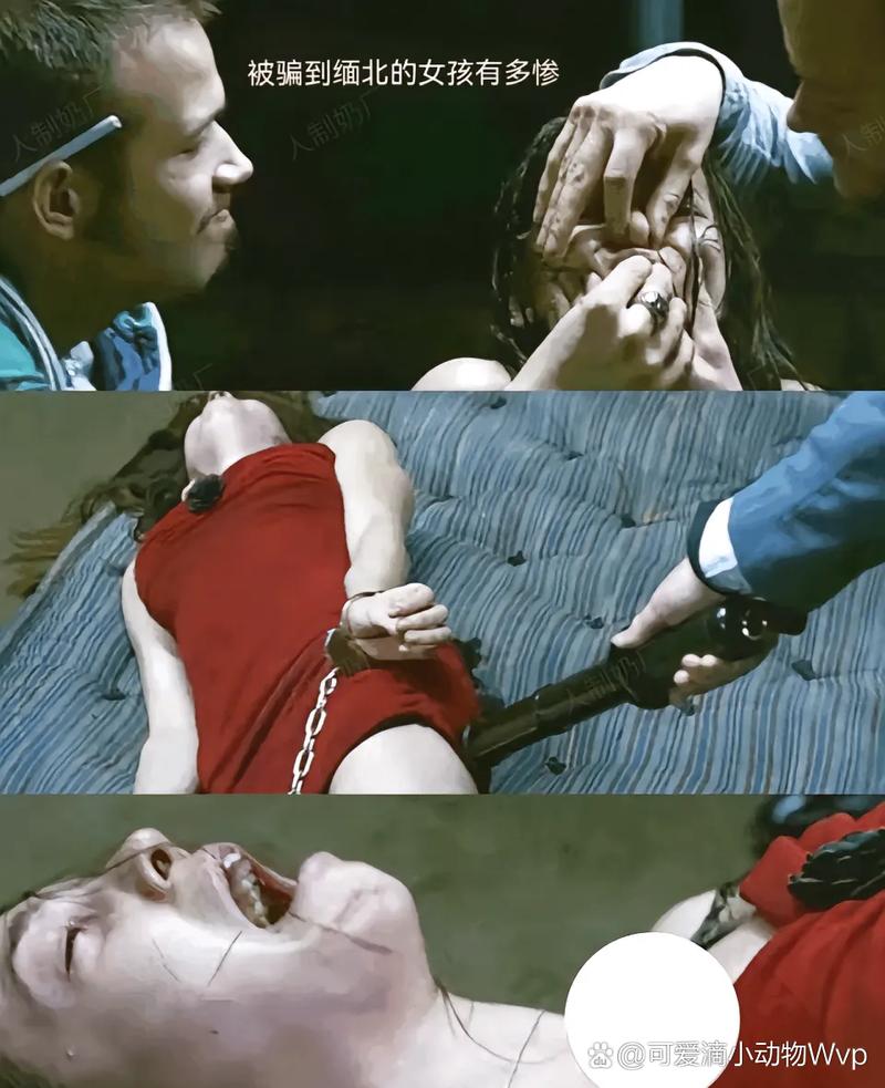 老师操美女的相关介绍