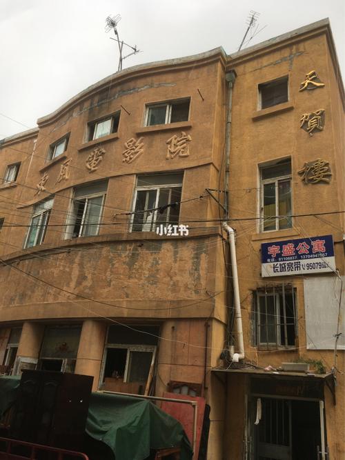 yy4480青苹果影院app扶摇的相关介绍