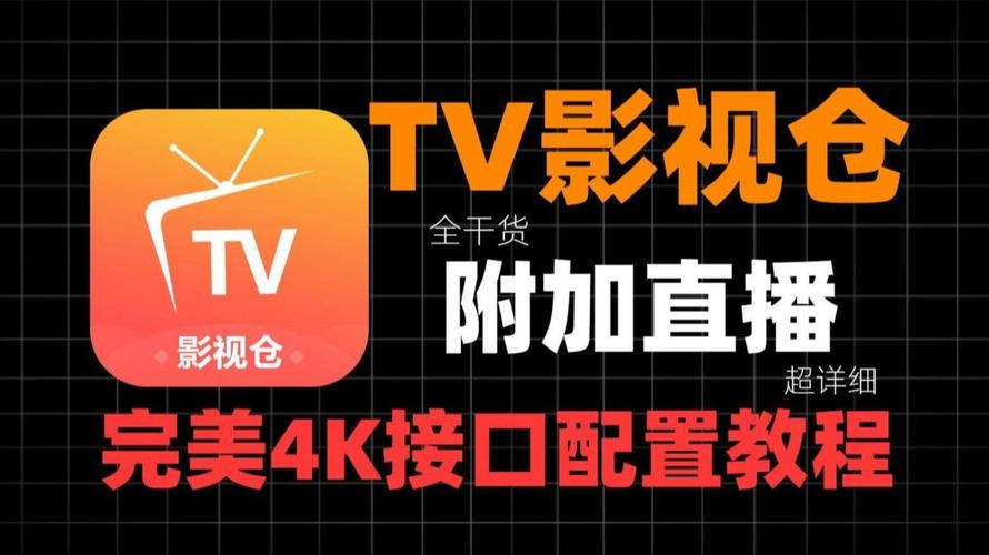 老婆骚影院的相关介绍