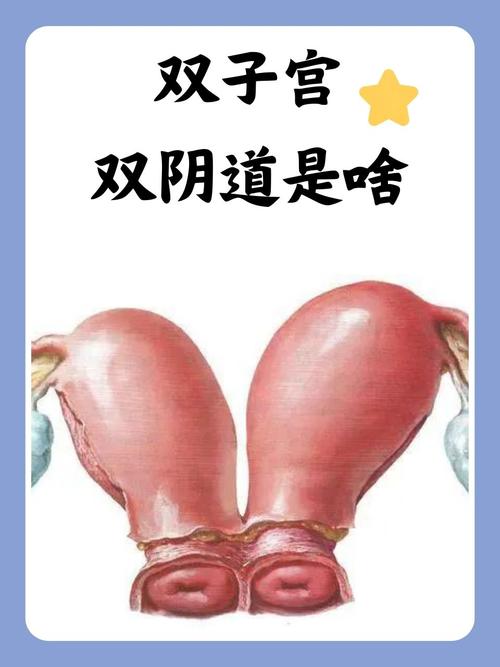 一边摸上边一边摸下边视频的相关介绍