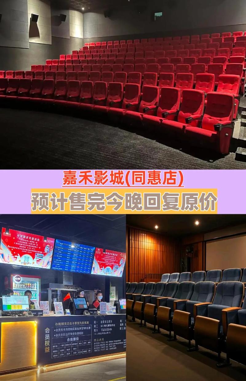 不花钱看毛片的相关介绍