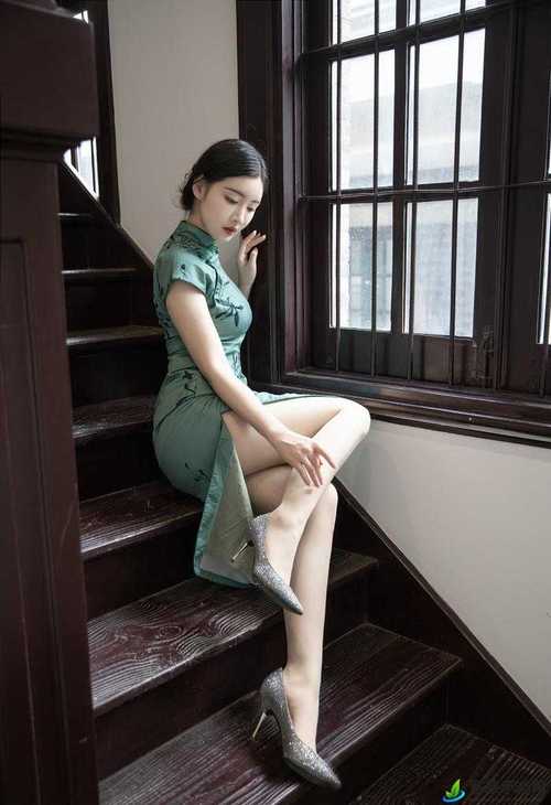 欧美日韩人妻另类在线的相关介绍