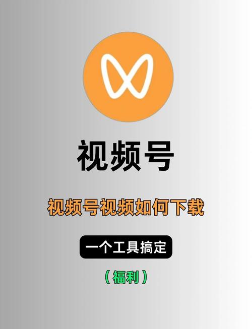 午夜电影院理论的相关介绍