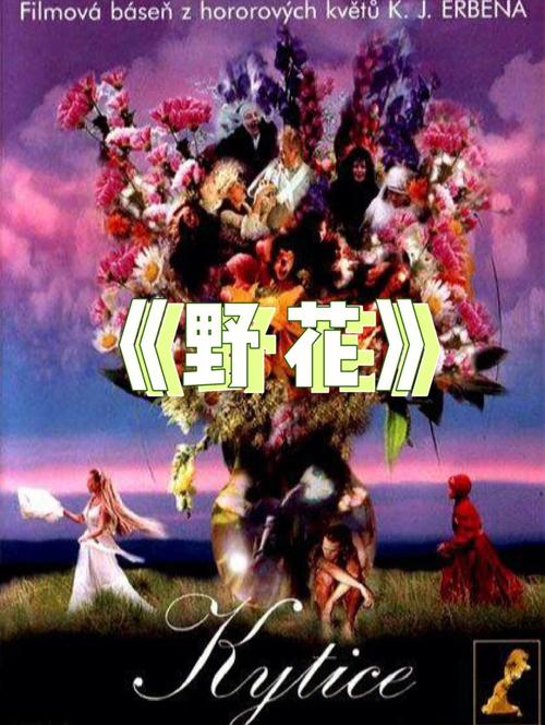 亚洲中文少妇的相关介绍