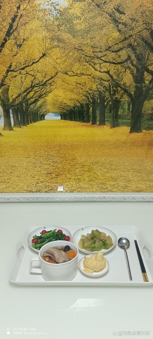 樟木头嘉禾影院的相关介绍