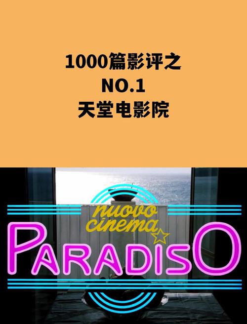 毛片哪里可以看的相关介绍