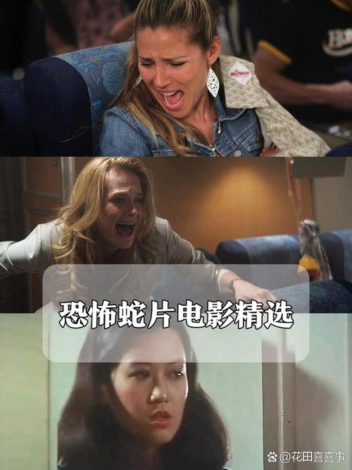 操到白浆流出的相关介绍