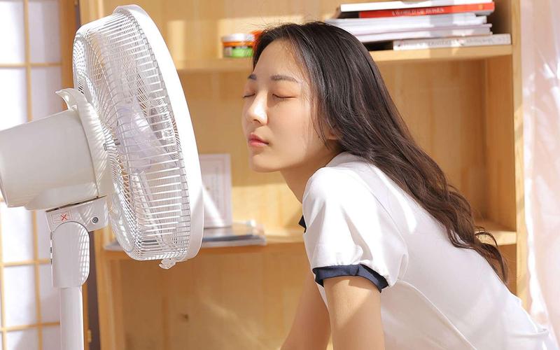 人妻少妇性色精品专区av的相关介绍