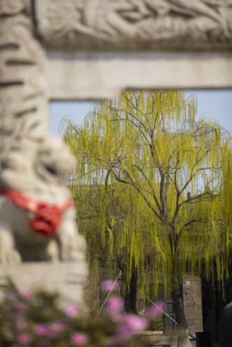 黄色生活片久久久久久的相关介绍