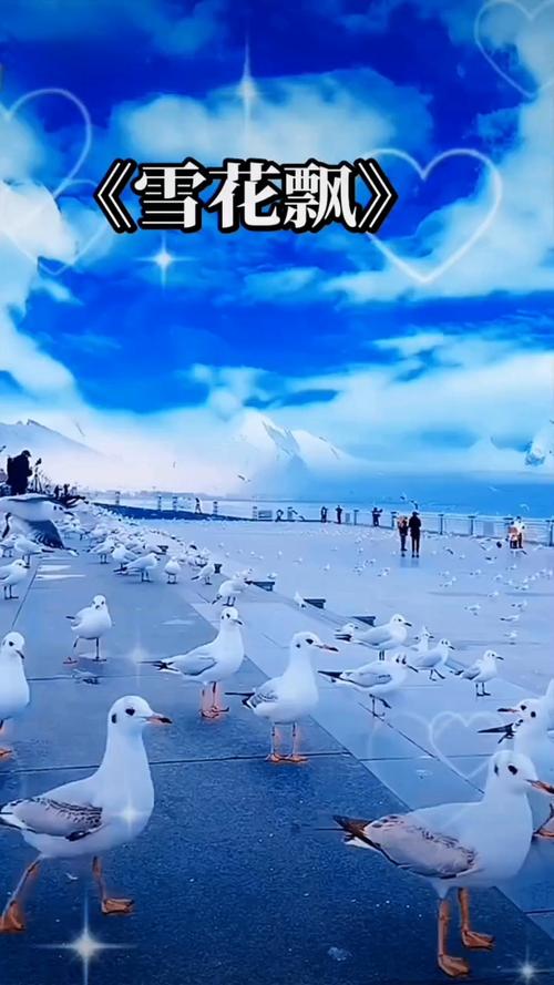 bt4k 影院的相关介绍