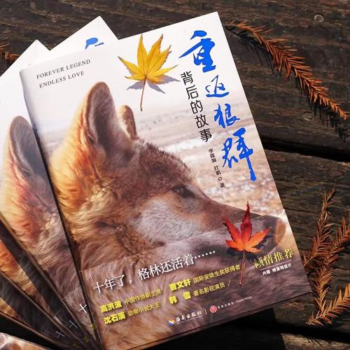 国产精品久久久久久久久kt的相关介绍