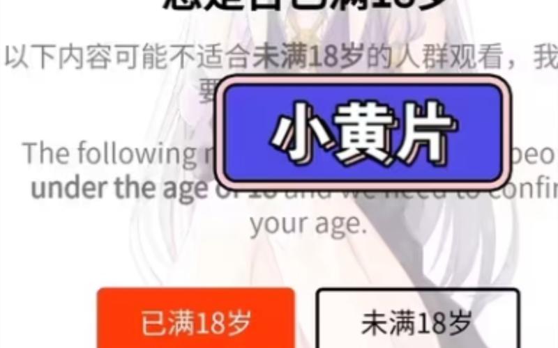 91av网在线观看毛片的相关介绍