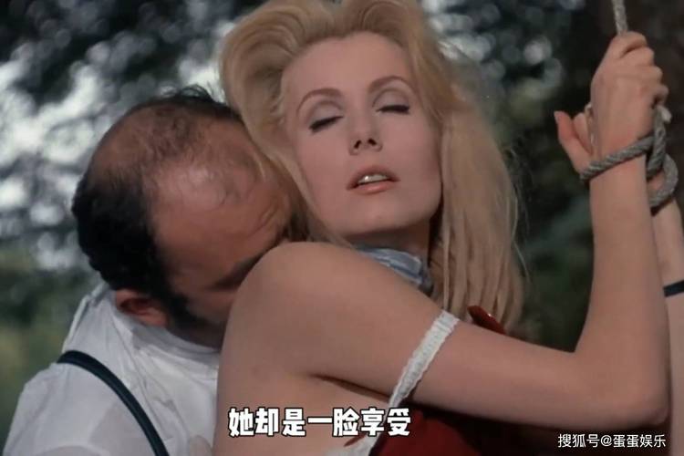 双视影院在线观看的相关介绍