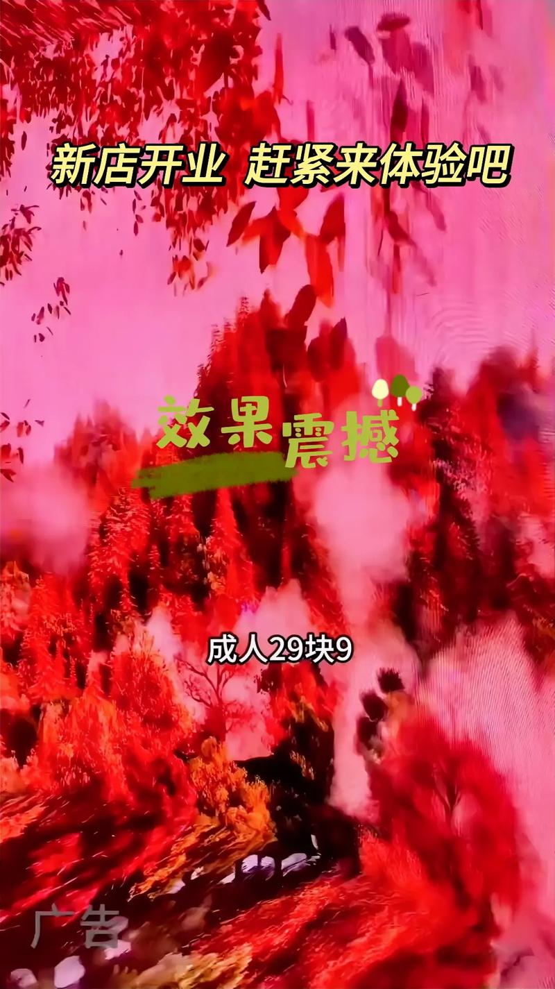 在线电影院的相关介绍