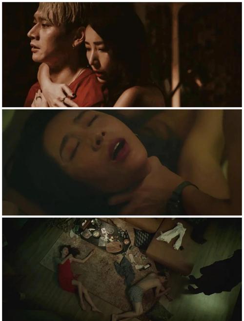 柏芝影院的相关介绍