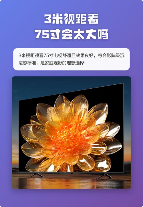 德国老太太毛片的相关介绍