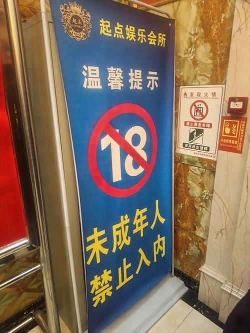 国产精品se的相关介绍