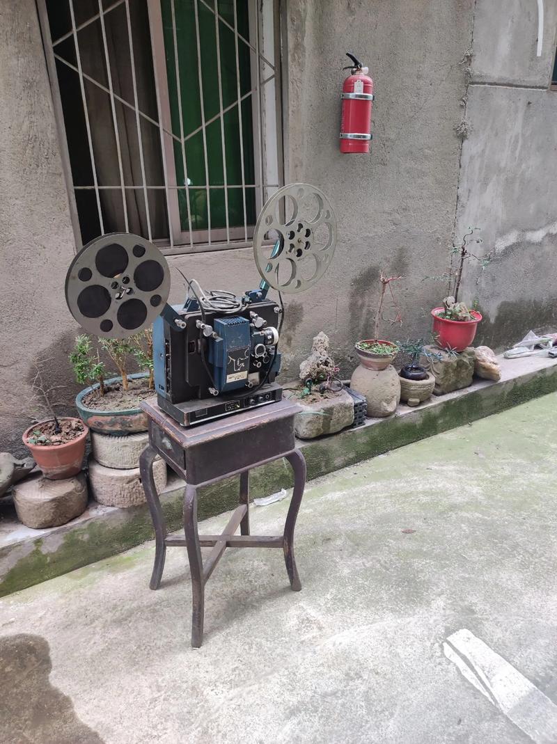 欧美久久逼的相关介绍