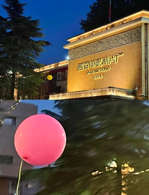 成龙电影院的相关介绍