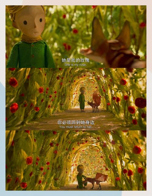 性色av一级淫片的相关介绍