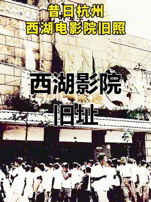 av毛片在线aaa叫的相关介绍