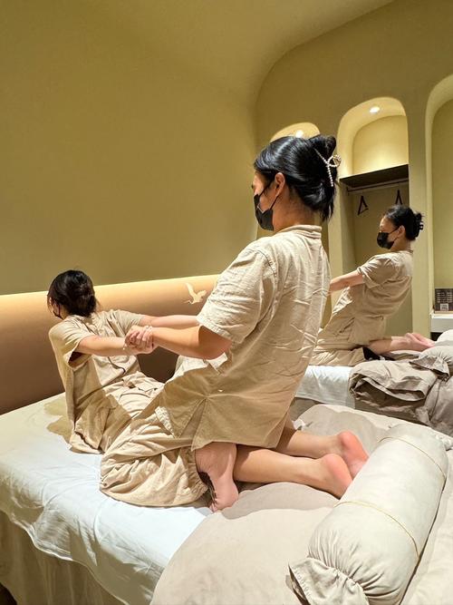 新新影院理论12页的相关介绍