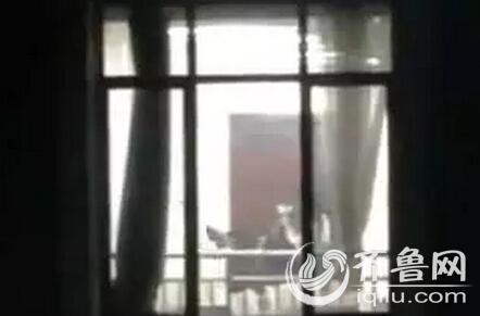 漂亮的人妻被双穴齐开小说的相关介绍