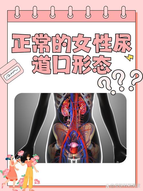 18岁女孩一个月来三四次月经的相关介绍